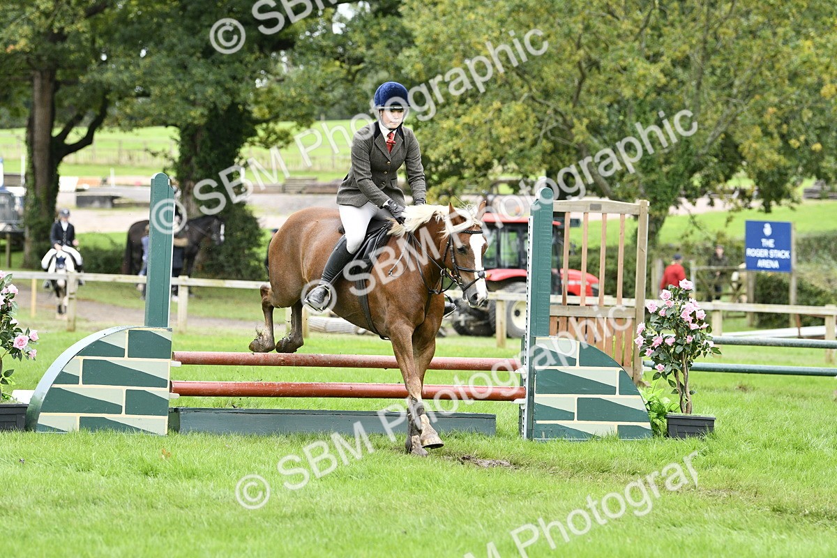 SBM_41380 - S32 - Mountain & Moorland Working Hunter Pony