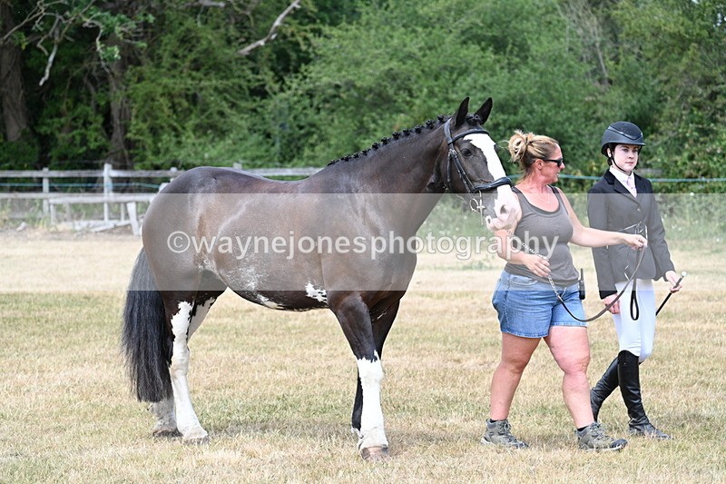 WJ7_1802 - Class 4a Prettiest Mare 14.2hh and over hand