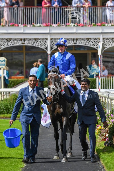 290723-Race 3-Alflaila-0581 - Race 3 3.15pm Sky Bet York Stakes (Group 2)