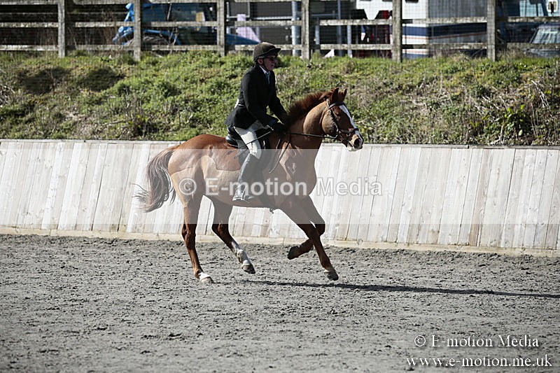 BVRC SJ 170319 237 - Bourne Valley Riding Club Showjumping 17/03/19