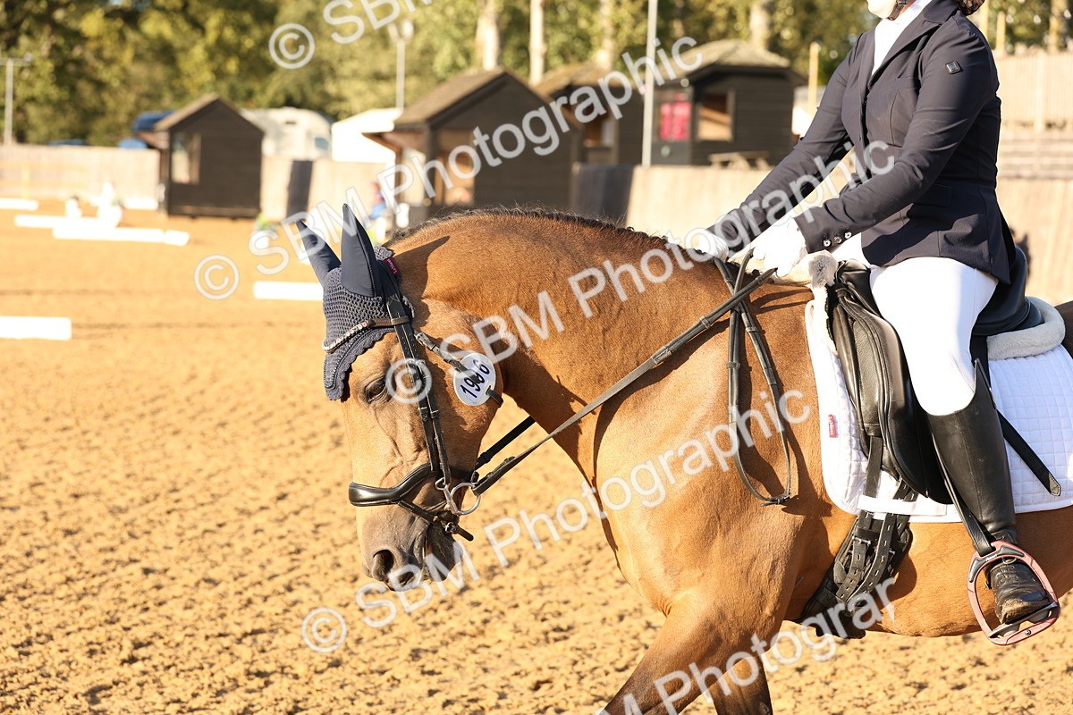 SBM_52913 - D12 - Small Tour Championship prelim 2