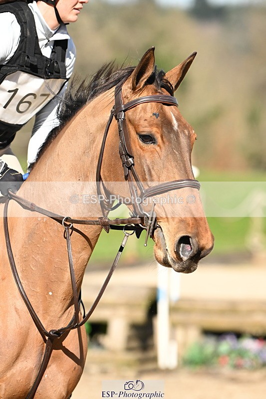 250301A-115829-00498 - Cls 02 80cm