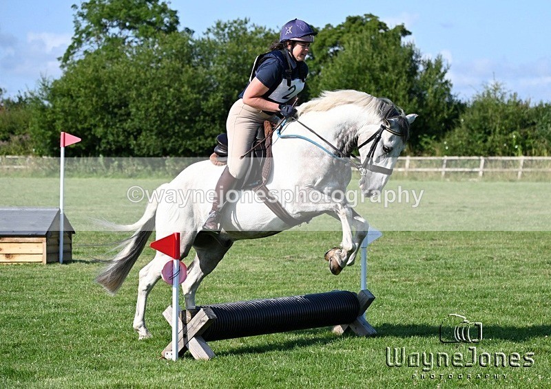 WJ6_8126 - Edited examples