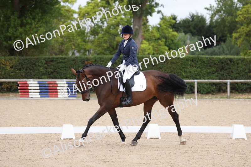 20250820-0554 - Class 14 - Prelim 5