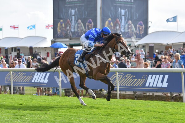 yr08072022r7-33 - Race 7 5.30pm Jigsaw Sports Branding Handicap
