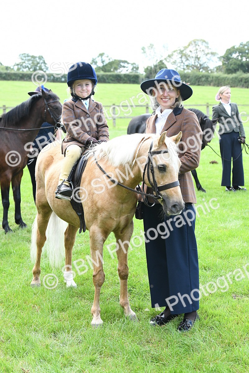 SBM_42561 - S20 - Lead Rein Mountain & Moorland Pony