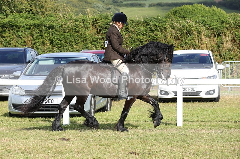 1X9A5947 - Class 42: NPS Dales, Fell, Highland