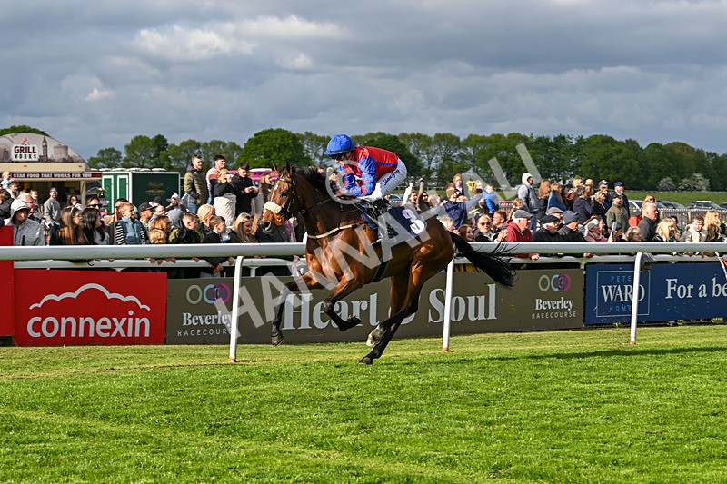 050525-Race 7-Spring Chorus-5586 - Race 7