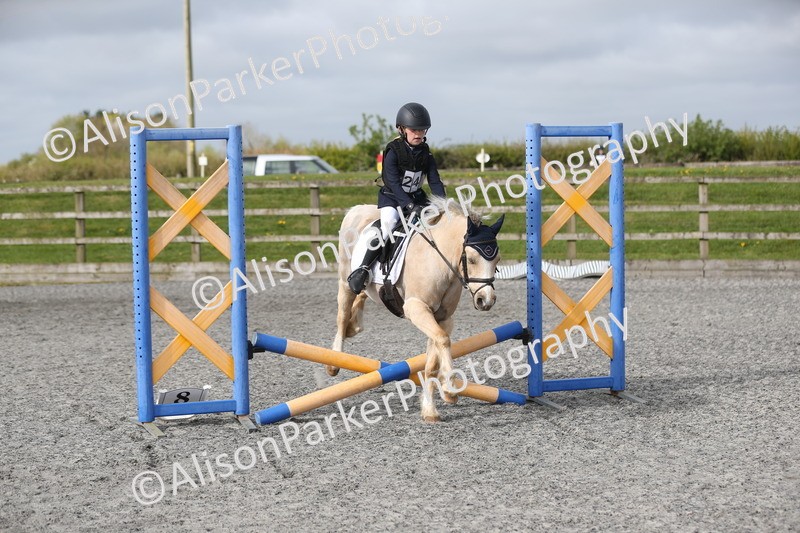 20260412-0106 - Show Jumping