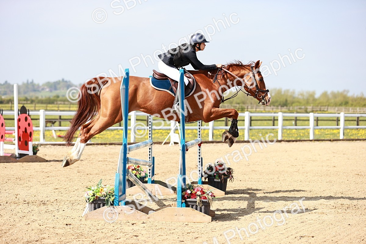  - Class 21 - Senior British Novice - 90cm