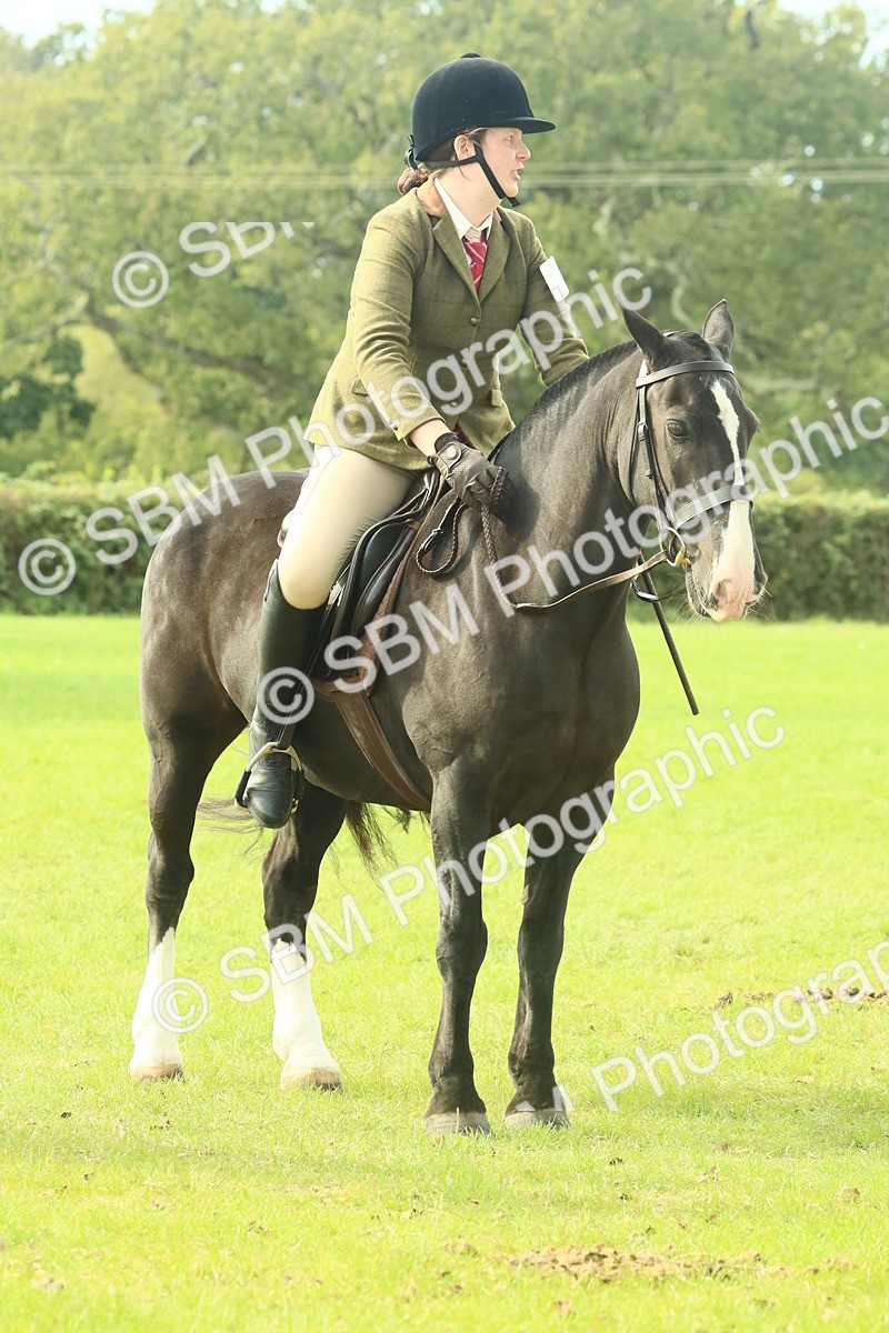 SBM_69371 - S58 - Mini Show Cob Ridden
