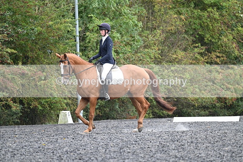 WJ7_6644 - Time 14:49 to 15:14