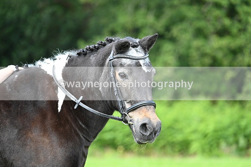 WJ7_1698 - Class 11 Condition & Turnout