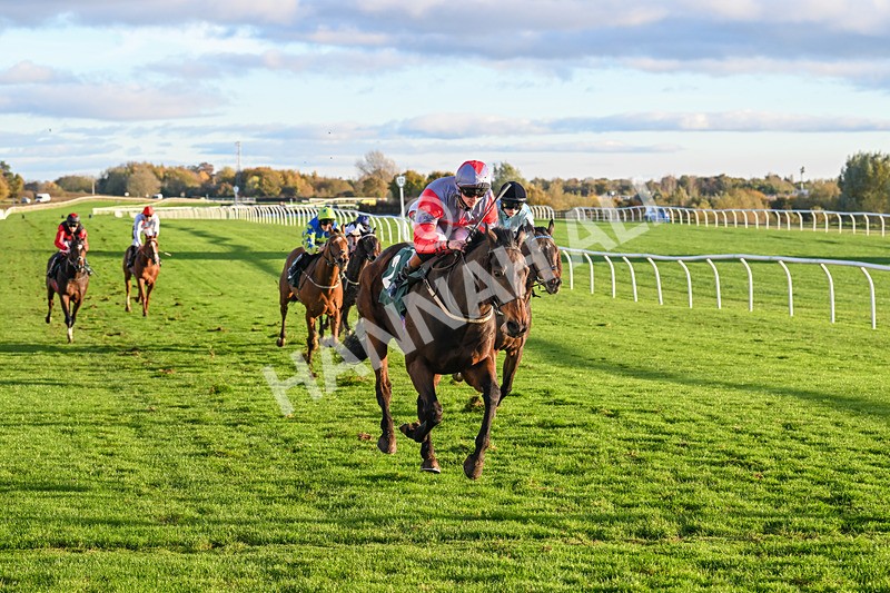 291024-Race 6-Count DOrsay-6355 - Race 6