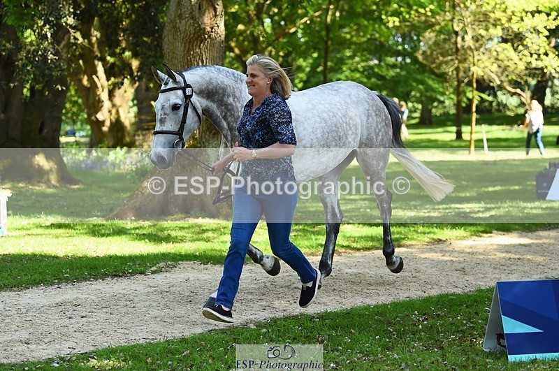 230524-153722-00395 - 366-KILMINGTON_FOLLY-Kristina_Cook-WEDTrotUp+DR