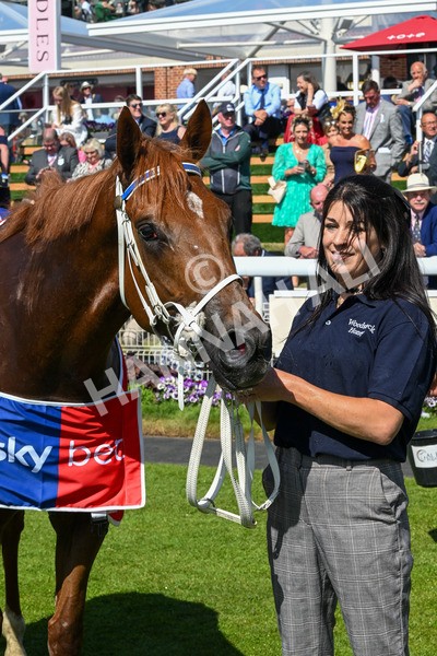 160525-Race 3-Kon Tiki-6575 - Race 3 3.13pm Sky Bet Fillies' Stakes