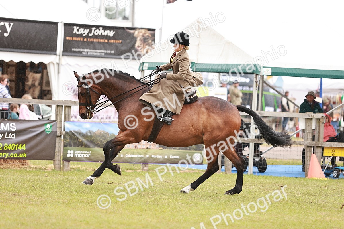 SBM_10991 - Class 81-84 - RIHS Ridden hunters Inc Ladies Hunter