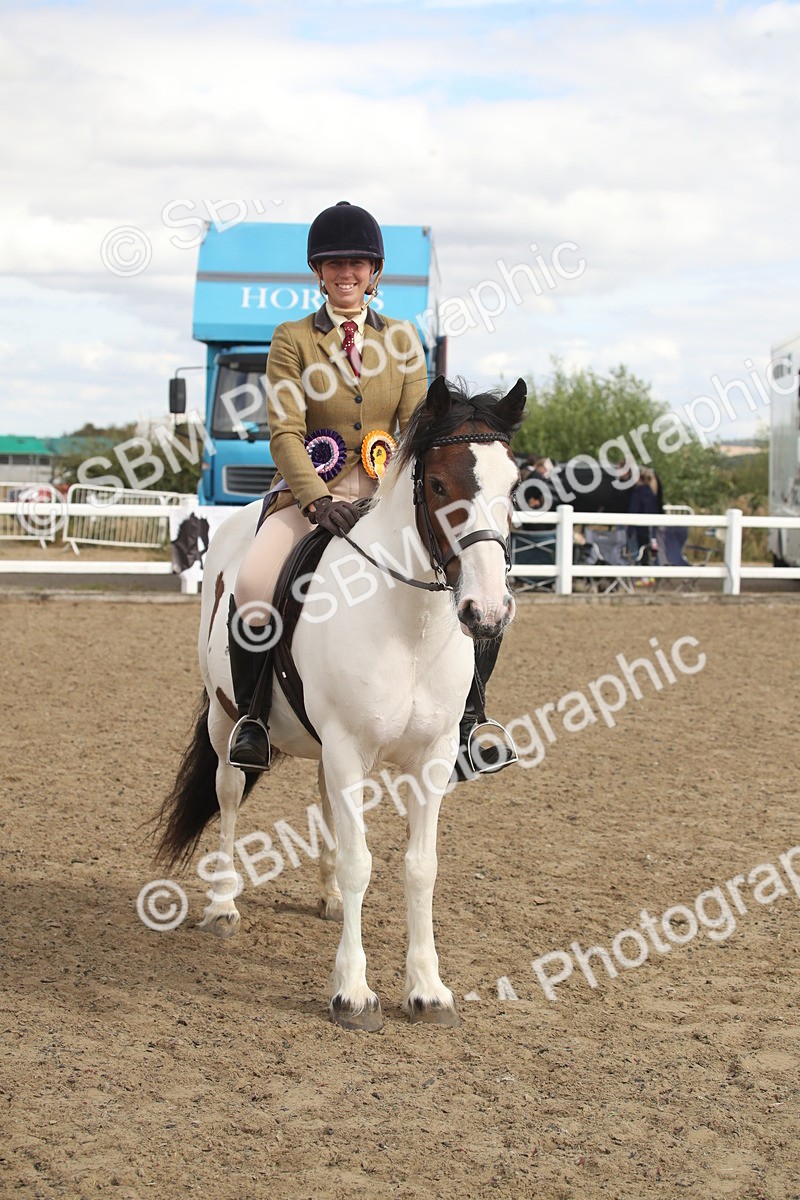 SBM_15251 - Class 506a - Working Veteran - 50cm (15-19)