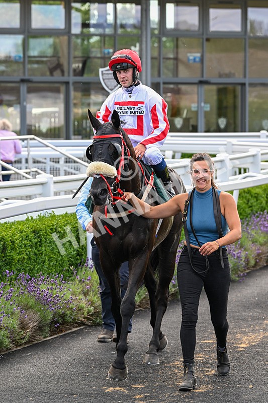 090725-Race 5-Cosmic Soul-3516 - Race 5