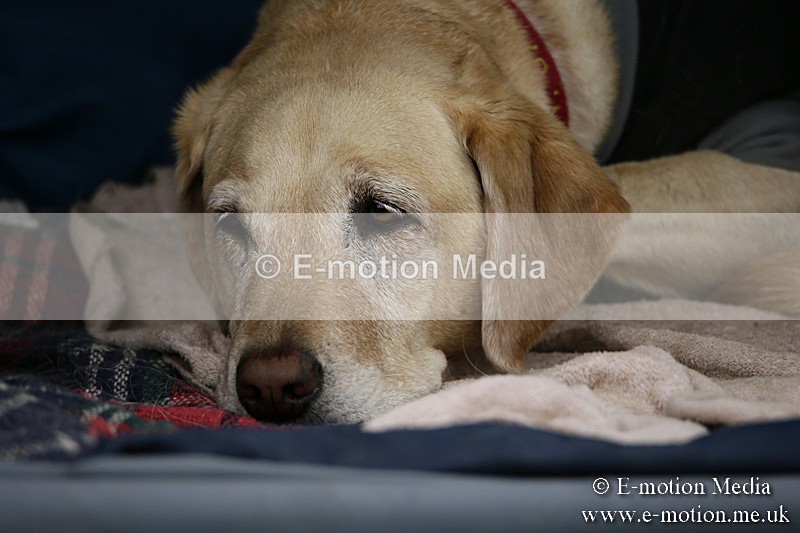 BVR160717-44 - Caught on Camera 16/07/17