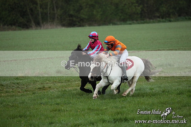SHETPR 210425 86 - Shetland Ponies Paxford Races 21/04/25