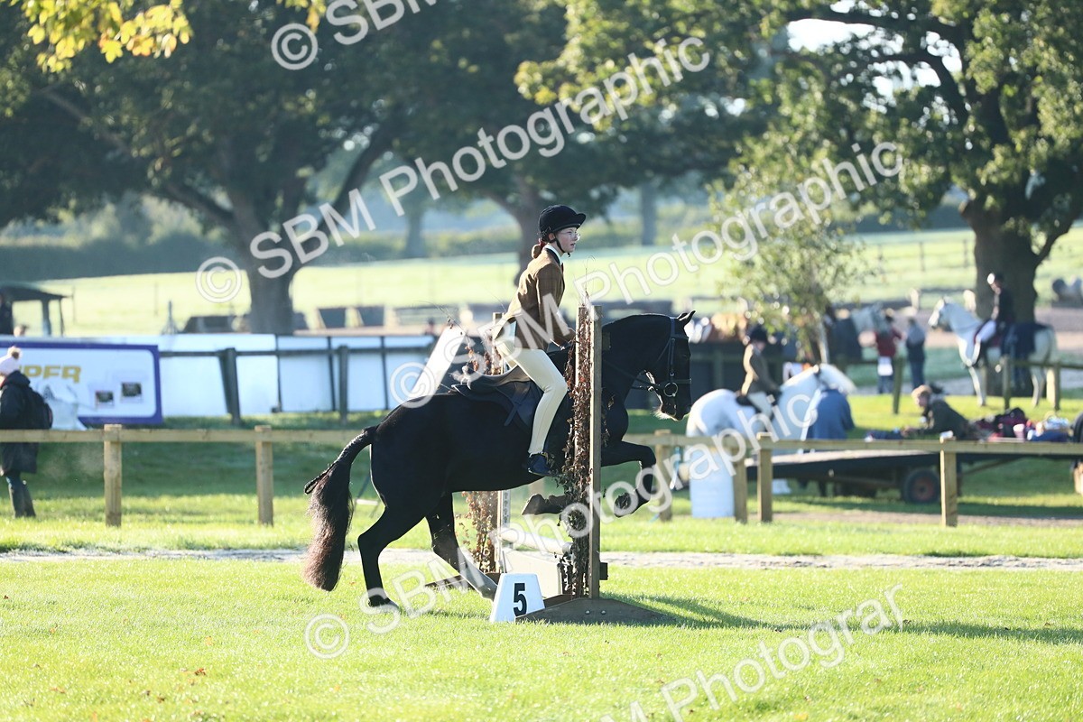 SBM_37340 - S29 - Novice & Newcomers Working Hunter Pony
