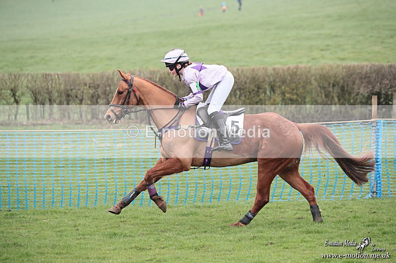 PR PtP 080326 469 - Guilsborough Pony Races 08/03/26