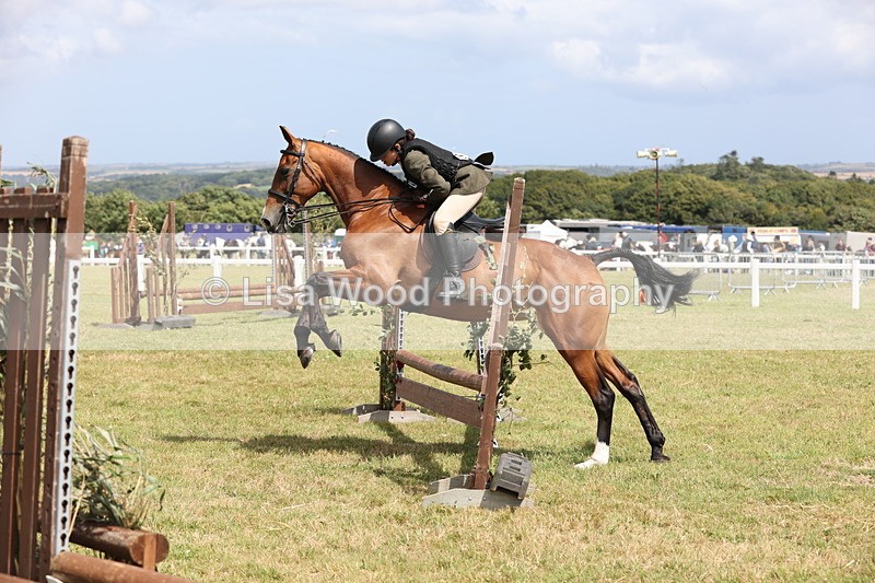 JPP_2074 - Class 19: Working Hunter 60cm