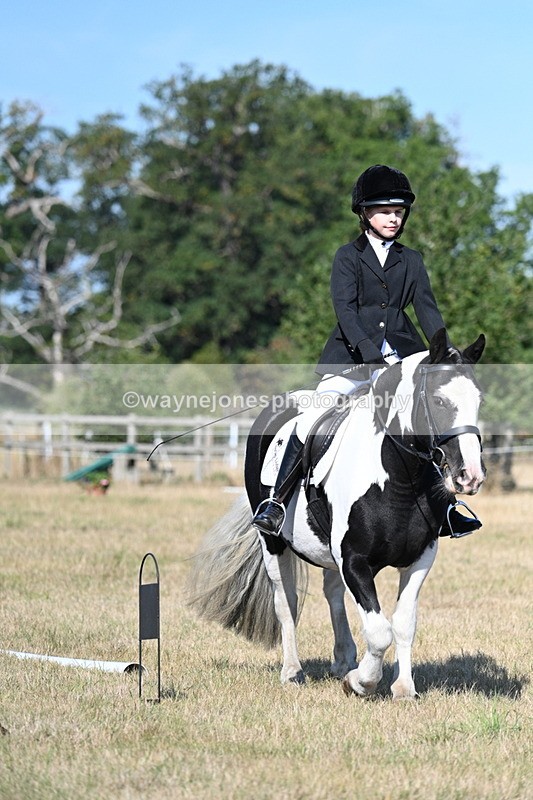 WJ7_9384 - Time 10:08 to 10:13