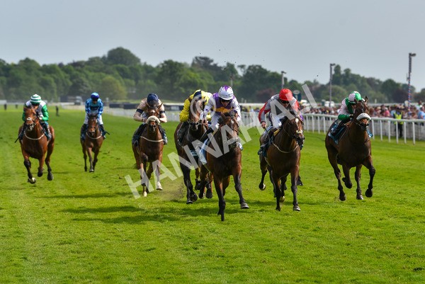 270523-Race 6-Quantum Impact-4544 - Race 6 4.25pm Royal Yorkshire Regiment Handicap