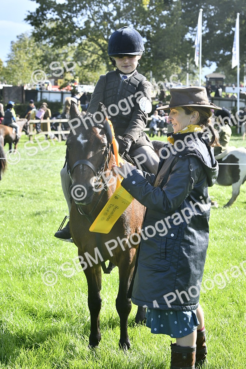 SBM_37233 - S31 - Novice & Newcomer Working Hunter Pony