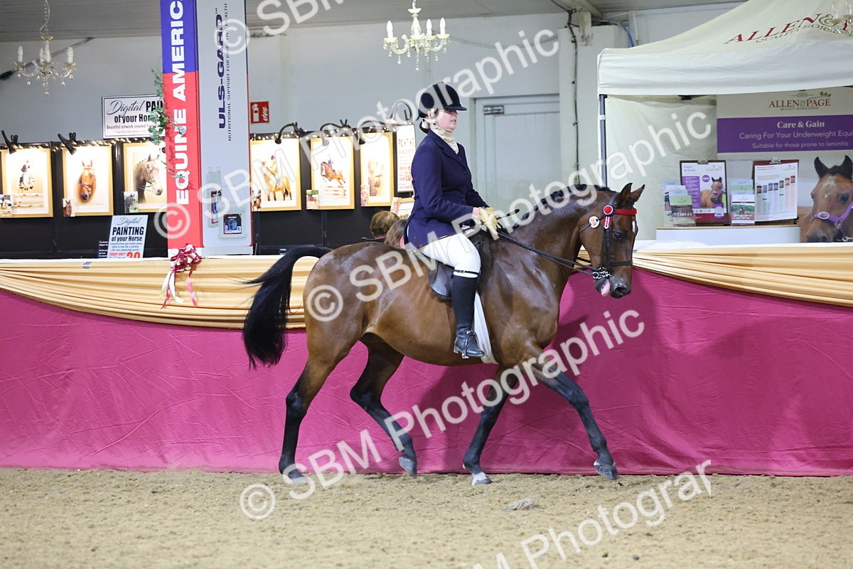 SBM_18999 - Class G Ridden Pony Champ
