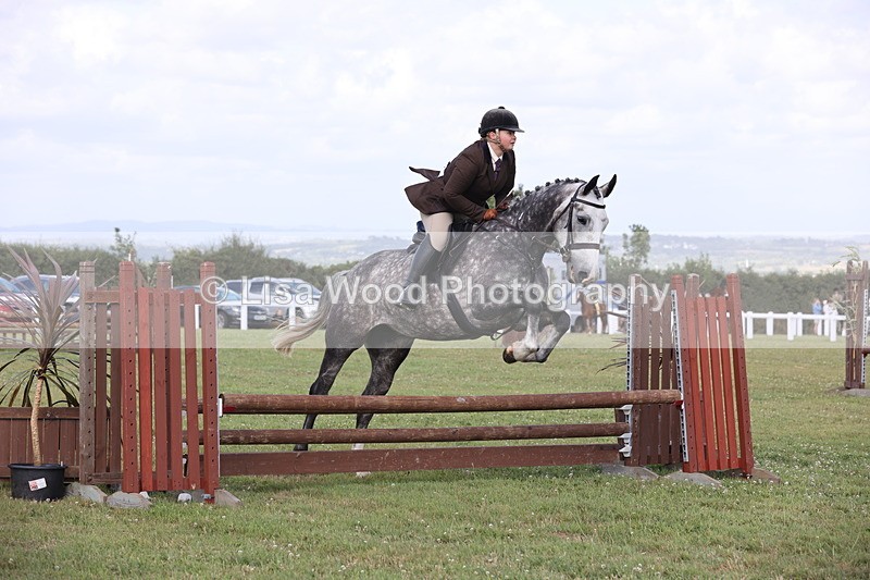 JPP_2670 - Class 20: Working Hunter 70cm