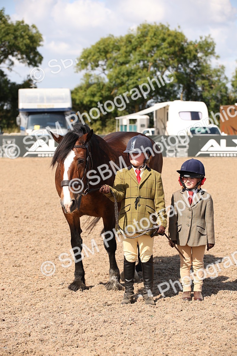 SBM_03048 - Class 17 Prettiest Mare IH or Ridden