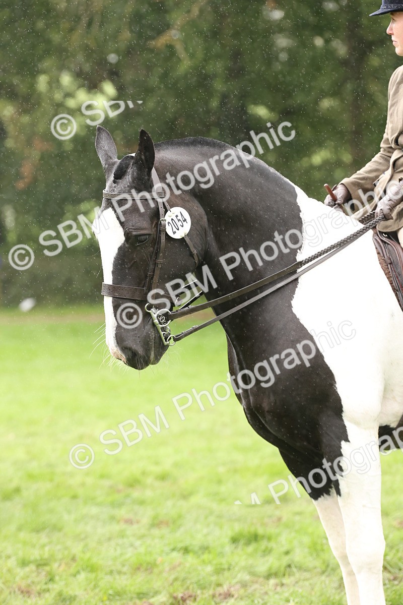 SBM_69842 - S69 - Show Cob Ridden