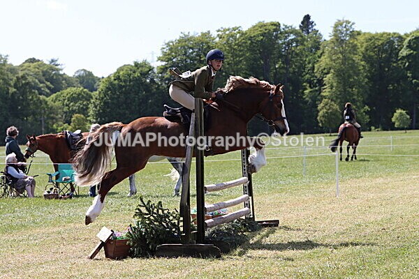 IMG_4333 - Working Hunter