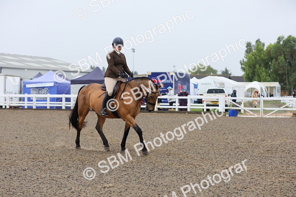 SBM_19909 - Class 801 - Ridden Veteran