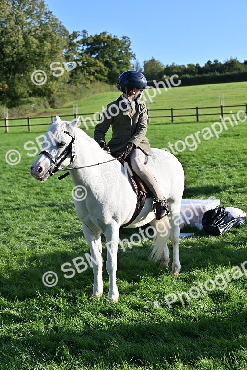 SBM_53072 - S23 - First Ridden Mountain & Moorland Pony