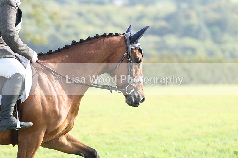 JPP_7821 - Class 2A: Trekenning Open: Dressage