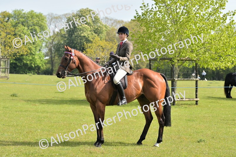 20260426-1149 - Class 19 - Retraining Of Racehorses