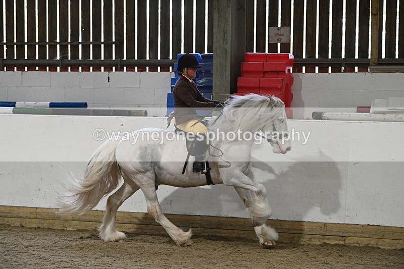 WJ7_4236 - Class 17 Ridden Cob