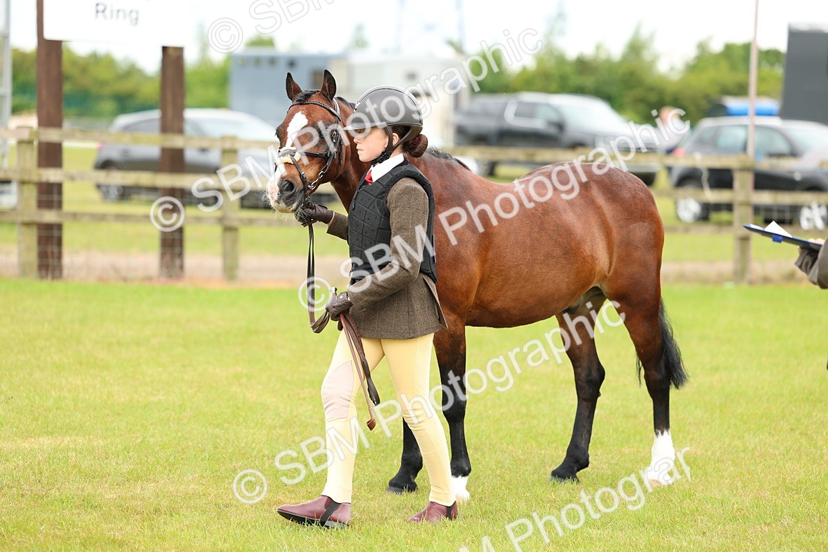 SBM_10332 - Class 44-45 - LIHS BSPS Open Nursery and Cradle Stakes