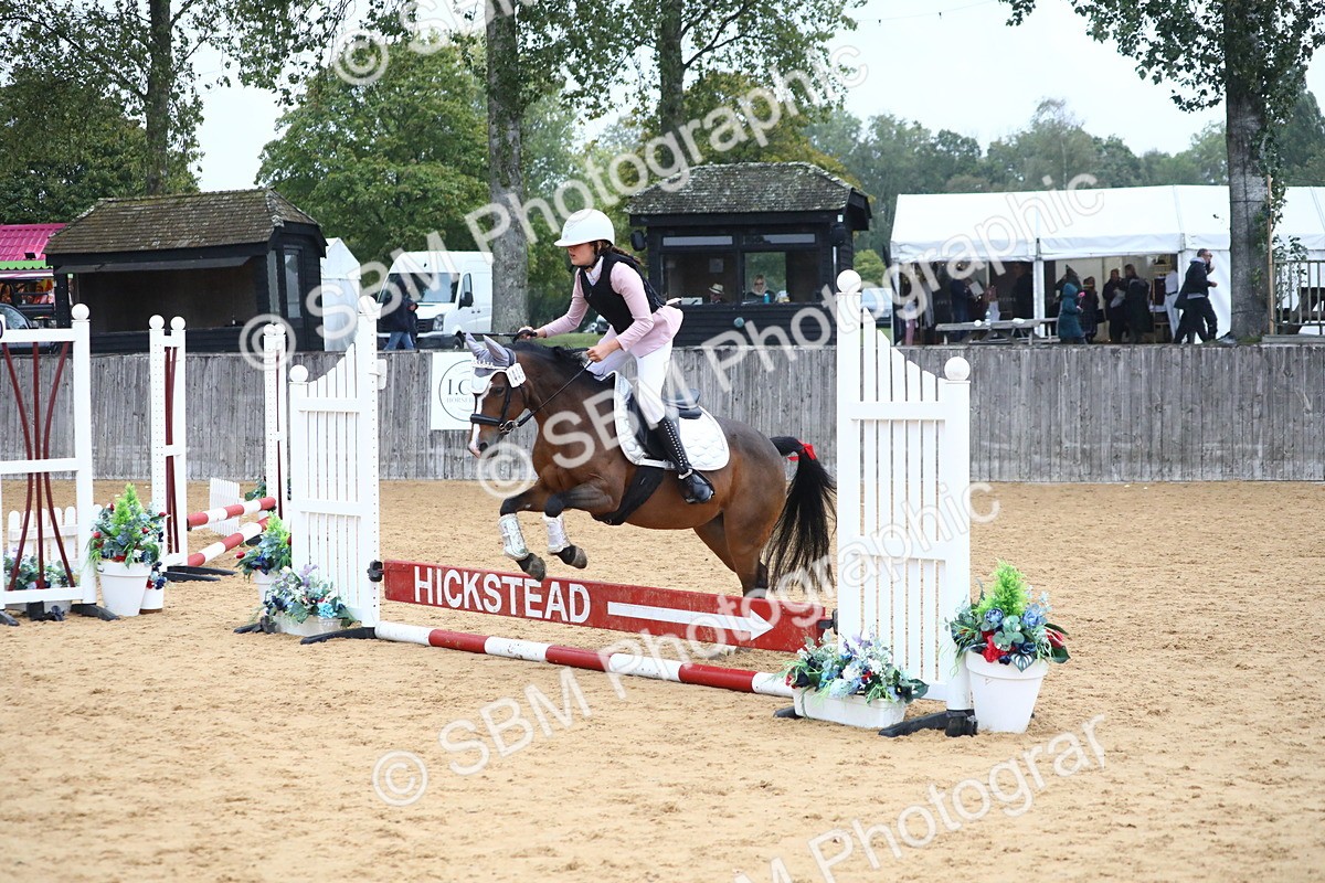 SBM_71612 - J4 - Mini Tour Junior Pony 45cm Championship