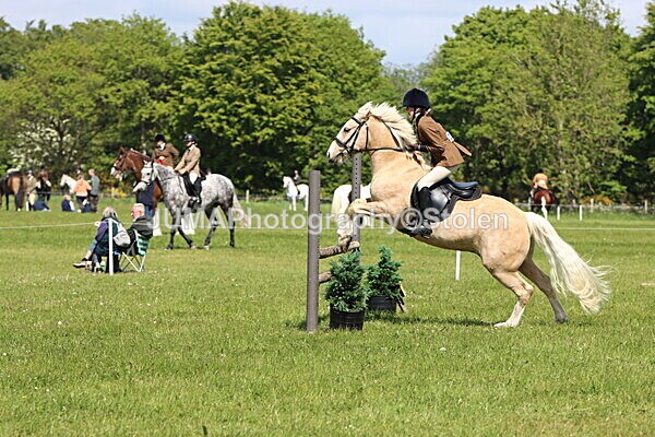 IMG_4249 - Working Hunter