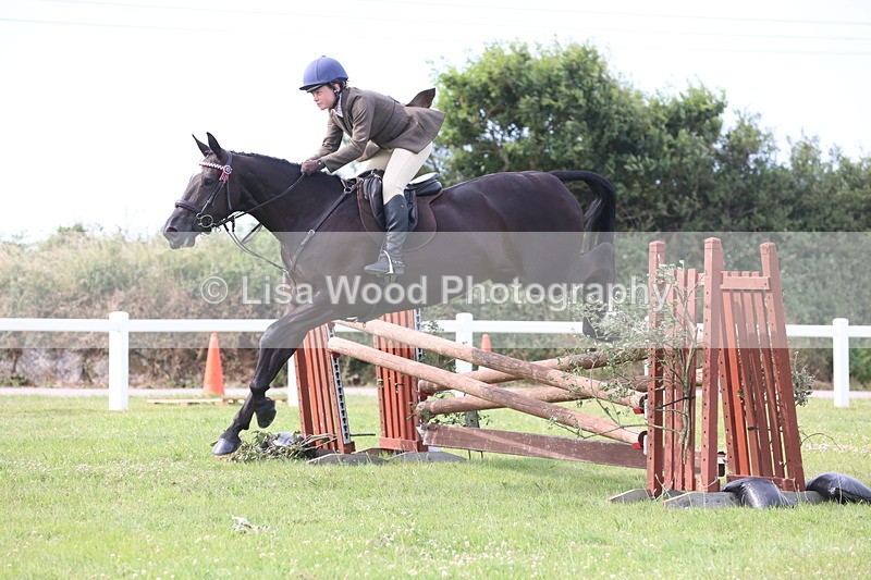 JPP_4224 - Class 25: Working Show Horse