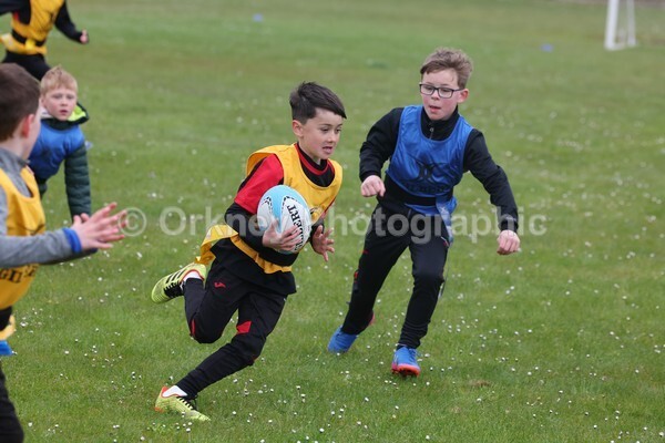 DAD22351 - Rookies/Mini Rugby on 7s Day