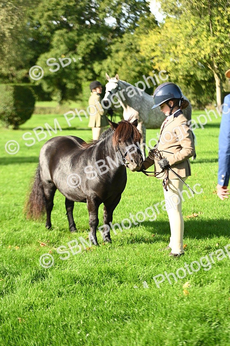 SBM_14750 - S1 - TSR in Hand Horse & Pony Showing