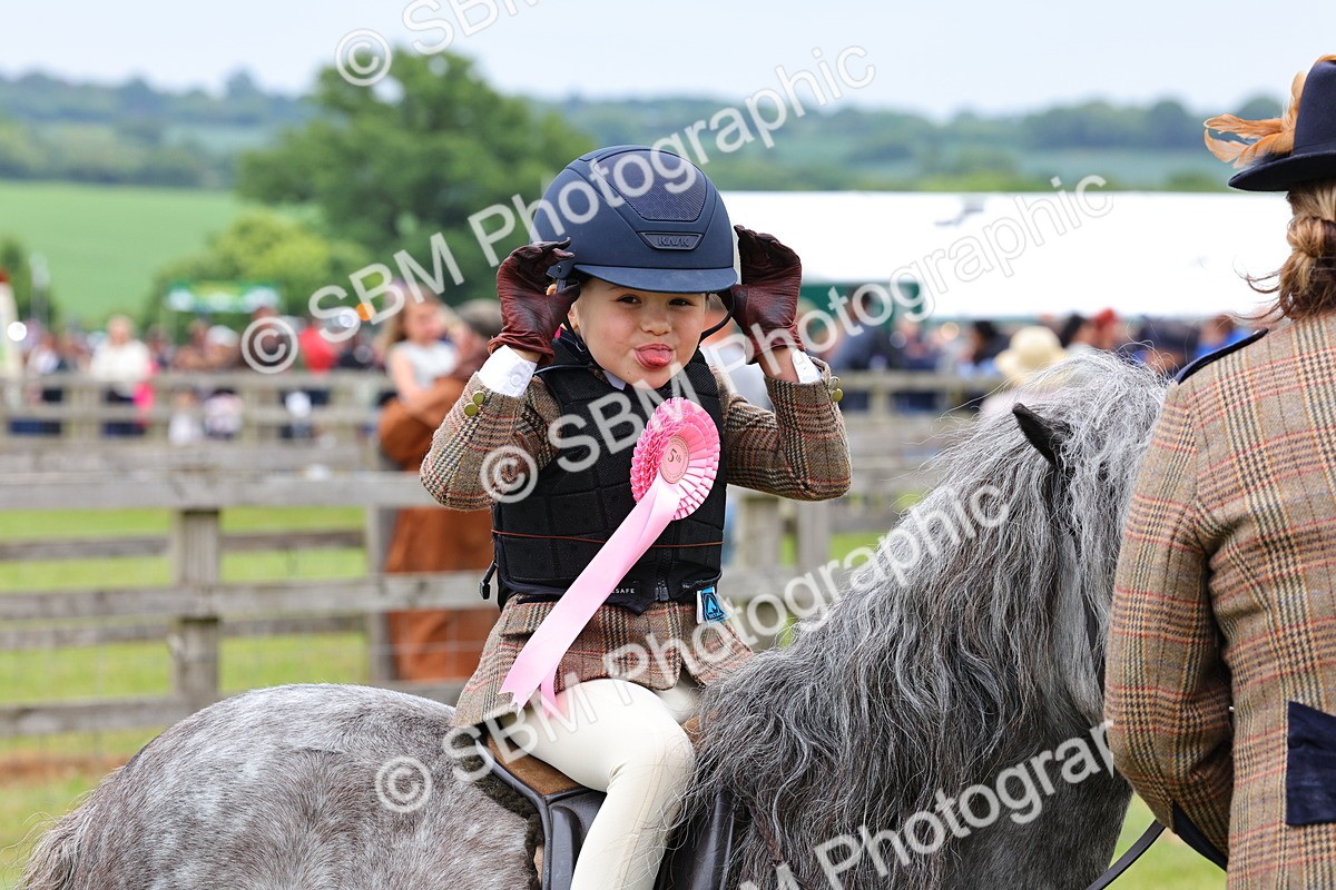 SBM_08387 - Class 42-43 - LIHS BSPS Heritage Working Sports Pony