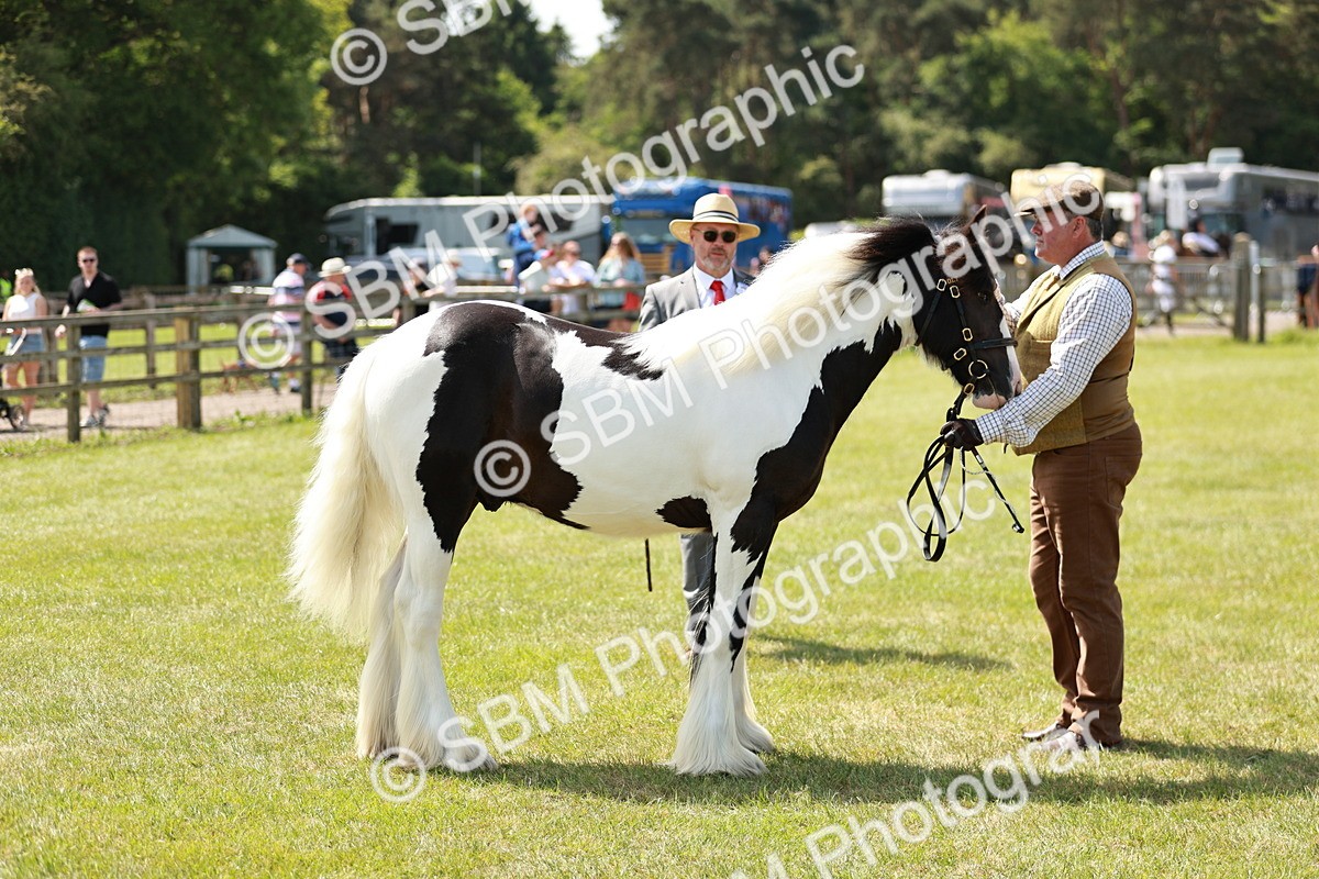 SBM_04245 - Class 39-40 - BSPA Coloured In Hand