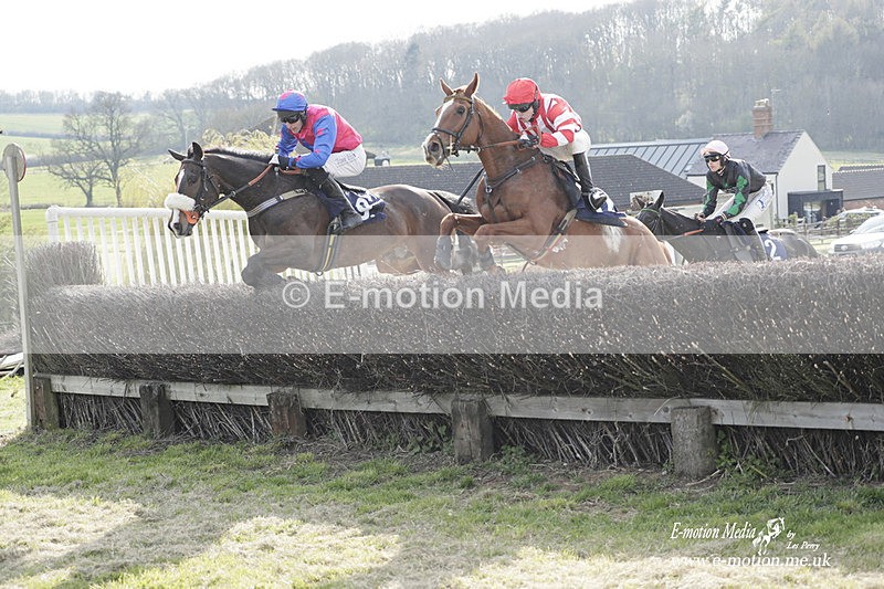 PtP 080423 767 - Dingley Races The Woodland Pytchley Hunt PtP 08/04/23